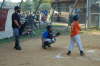 Oriole at bat