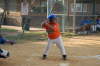 Oriole At Bat